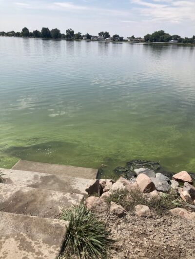 Windsor Lake Dog park - Windsor, CO