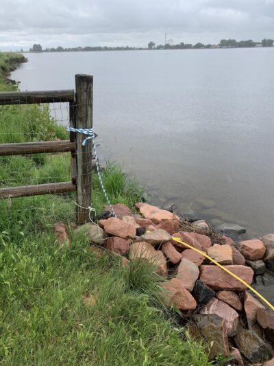 Windsor Lake Dog park - Windsor, CO