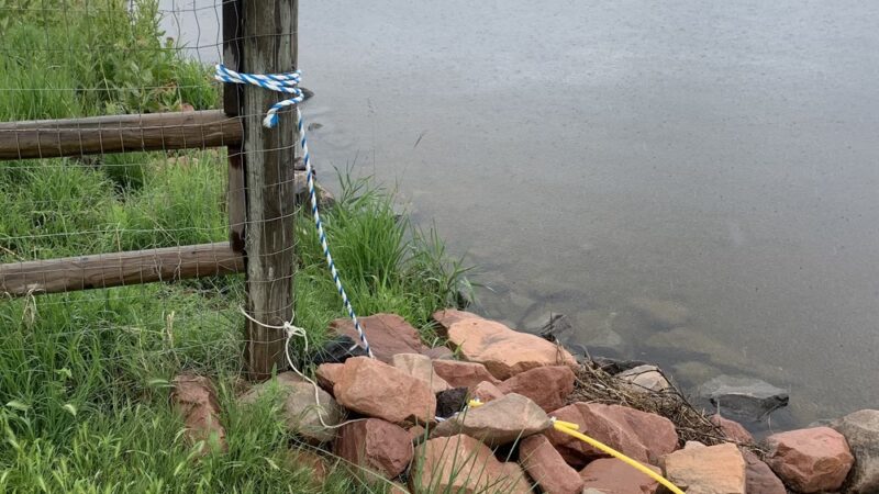 Windsor Lake Dog park - Windsor, CO