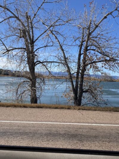 Windsor Lake Dog park - Windsor, CO
