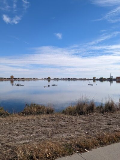 Windsor Lake Dog park - Windsor, CO