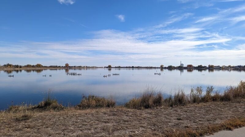 Windsor Lake Dog park - Windsor, CO
