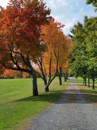Noden Reed Park - Windsor Locks, CT