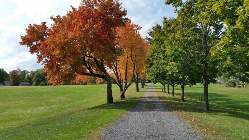 Noden Reed Park - Windsor Locks, CT