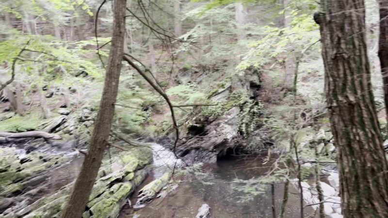 Wahconah Falls - Windsor, MA