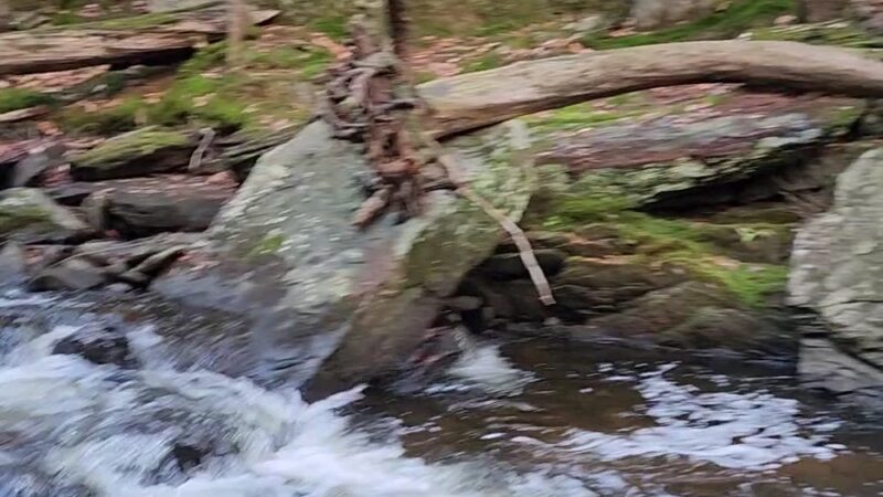 Windsor Jambs - Windsor, MA