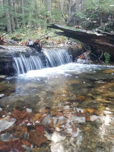 Windsor Jambs - Windsor, MA