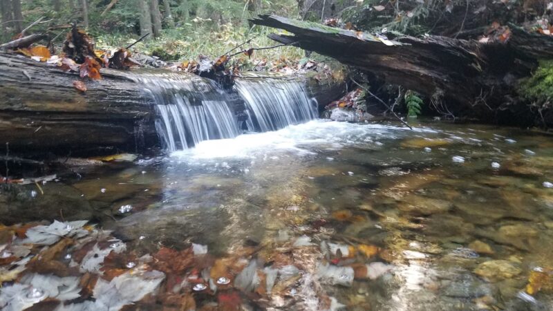 Windsor Jambs - Windsor, MA