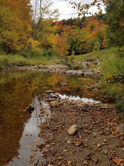 Windsor Jambs - Windsor, MA