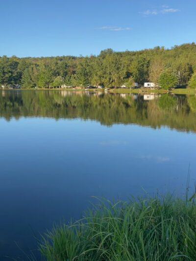 Forest Lake Campground - Windsor, NY