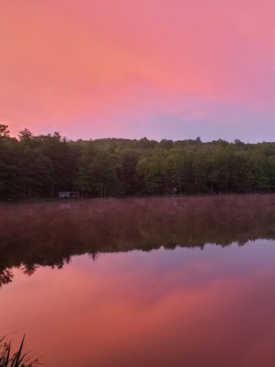 Forest Lake Campground - Windsor, NY