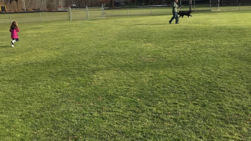 Klumpp Park - Windsor, NY