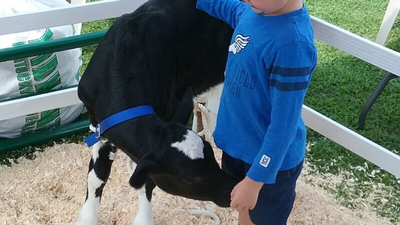 Klumpp Park - Windsor, NY