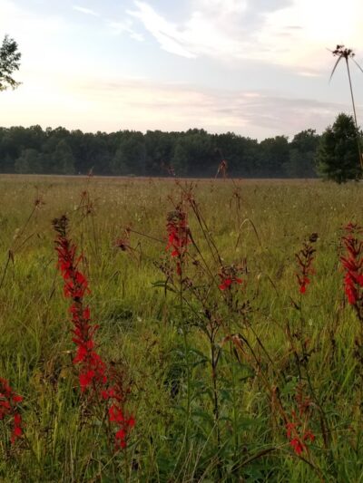 Winfield Park - Winfield, TN