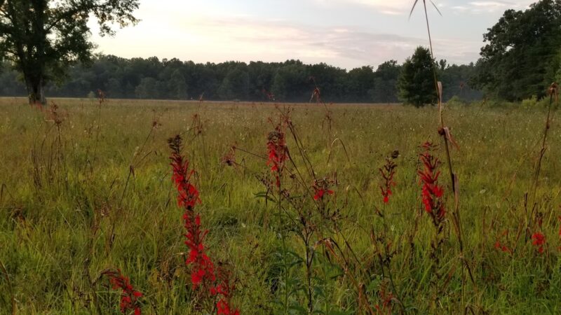 Winfield Park - Winfield, TN