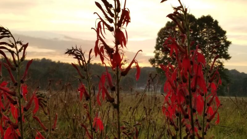 Winfield Park - Winfield, TN