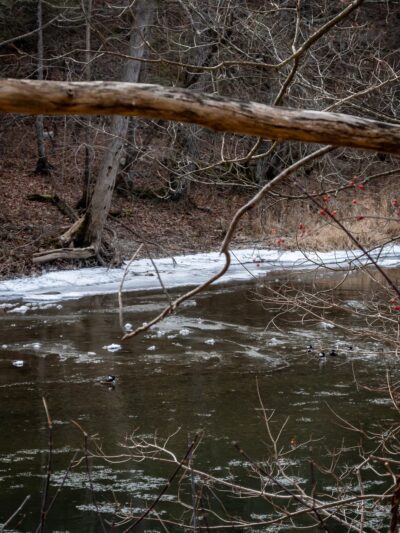 Tenmile River - Wingdale, NY