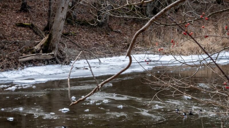 Tenmile River - Wingdale, NY
