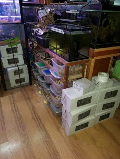 Wingdale - Wingdale, NY