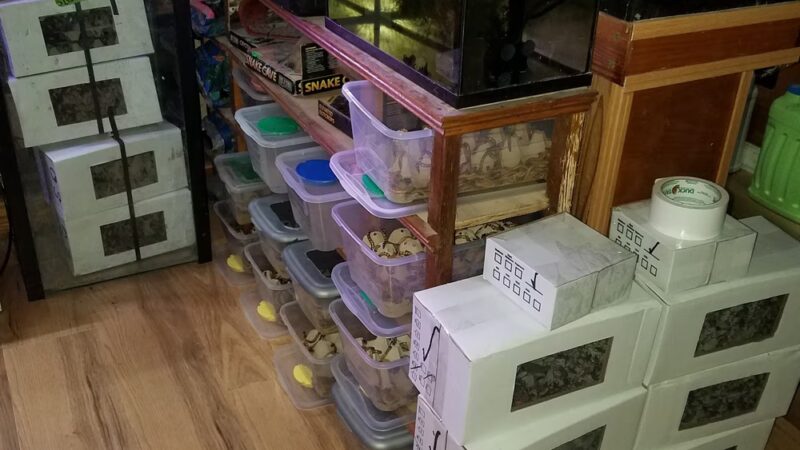 Wingdale - Wingdale, NY