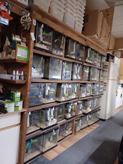 Wingdale - Wingdale, NY