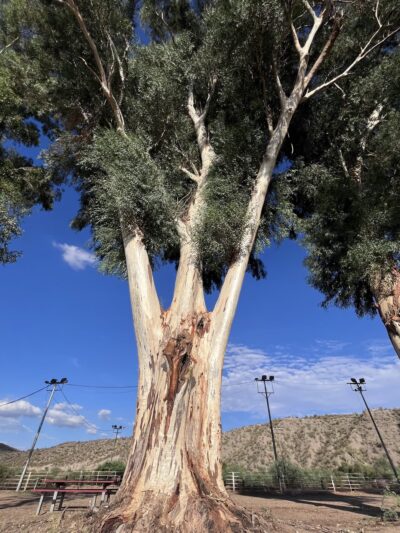 Winkleman Place Public Park - Winkelman, AZ