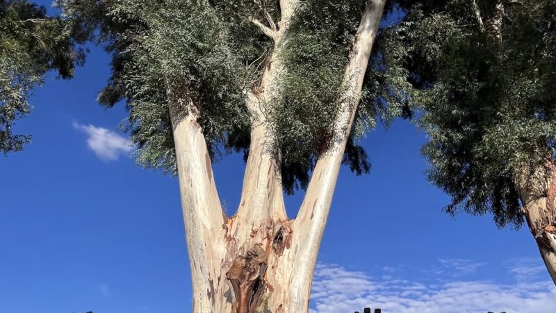 Winkleman Place Public Park - Winkelman, AZ