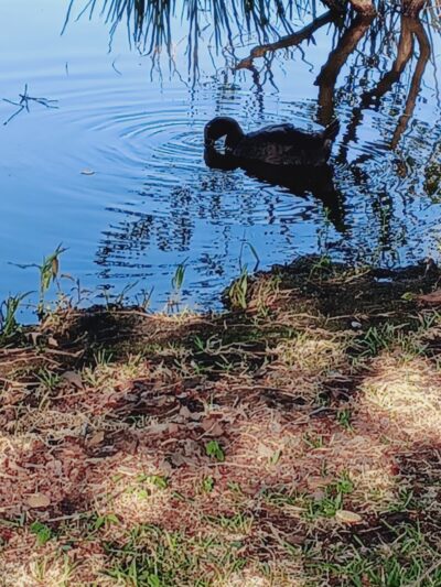 Lake Winnsboro CR 4847 Park - Winnsboro, TX