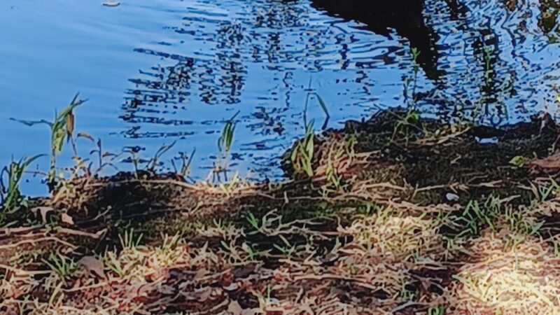 Lake Winnsboro CR 4847 Park - Winnsboro, TX