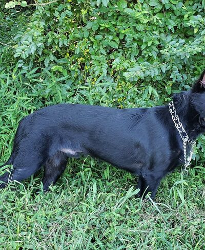 Crawford Park - Winston-Salem, NC