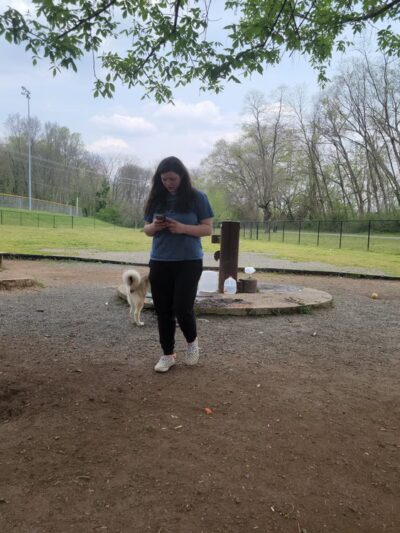 Dog Park at Washington Park - Winston-Salem, NC