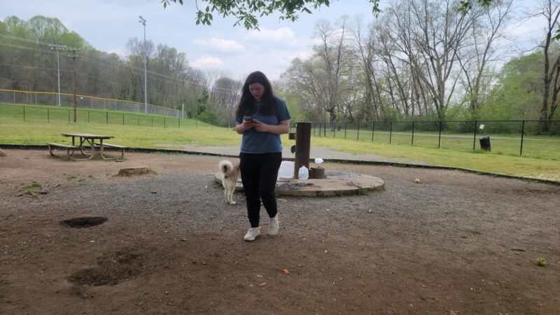 Dog Park at Washington Park - Winston-Salem, NC