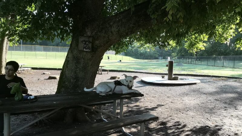 Dog Park at Washington Park - Winston-Salem, NC