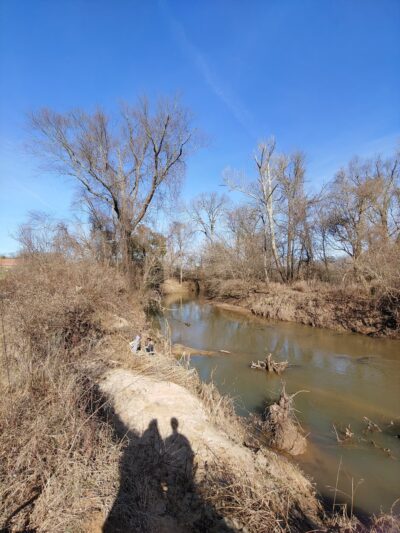 Jamison Dog Park - Winston-Salem, NC