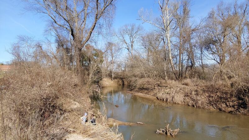 Jamison Dog Park - Winston-Salem, NC