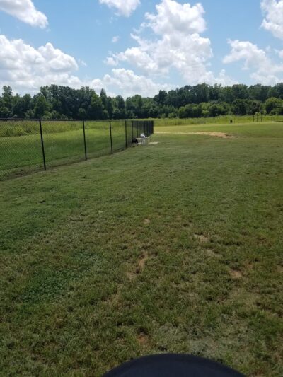 Jamison Dog Park - Winston-Salem, NC