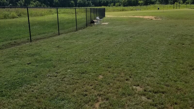 Jamison Dog Park - Winston-Salem, NC