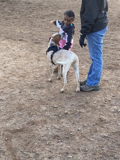 Jamison Dog Park - Winston-Salem, NC