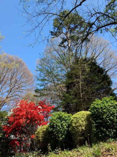 Lockland Park - Winston-Salem, NC