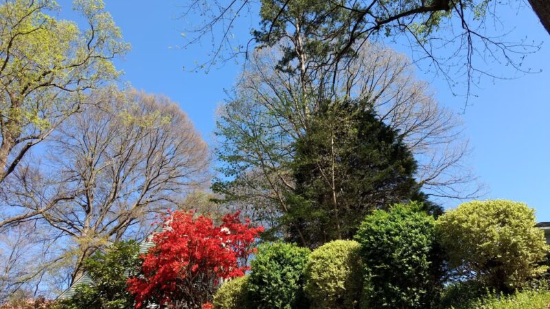 Lockland Park - Winston-Salem, NC