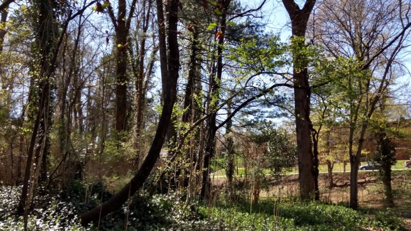 Lockland Park - Winston-Salem, NC