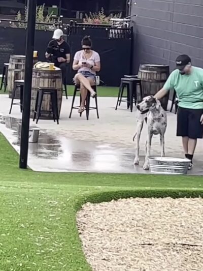 Tucker's Tap Yard - Winston-Salem, NC