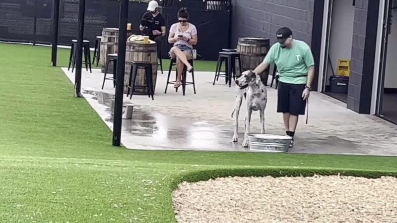 Tucker's Tap Yard - Winston-Salem, NC