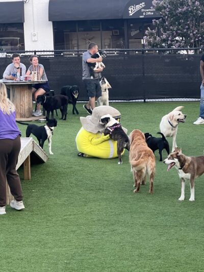 Tucker's Tap Yard - Winston-Salem, NC