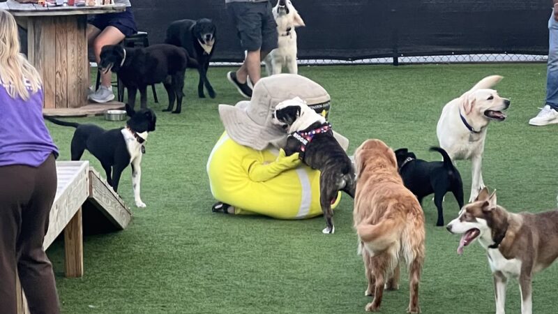 Tucker's Tap Yard - Winston-Salem, NC