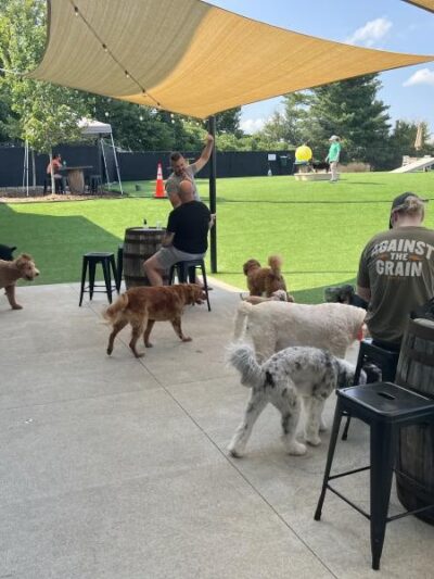 Tucker's Tap Yard - Winston-Salem, NC