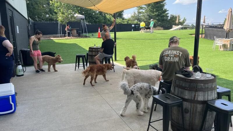 Tucker's Tap Yard - Winston-Salem, NC