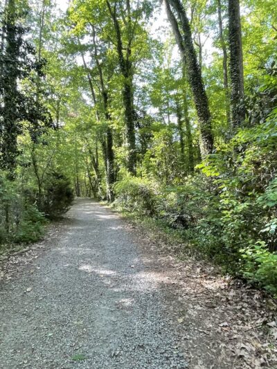 Walking Trails - Winston-Salem, NC
