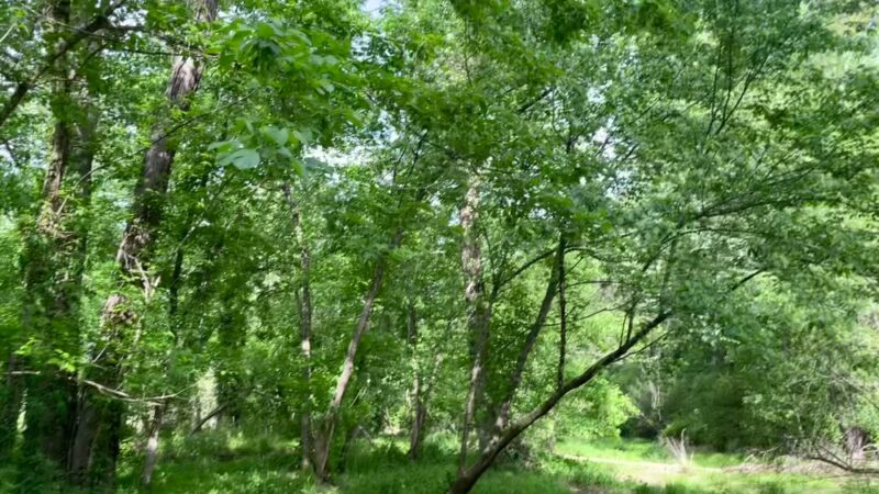 Walking Trails - Winston-Salem, NC