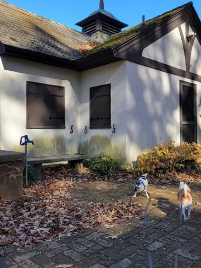 Walking Trails - Winston-Salem, NC